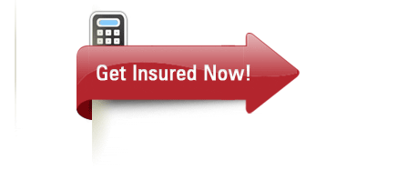 Term Insurance Premium Calculator